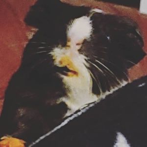 Meet your Posher, Becca